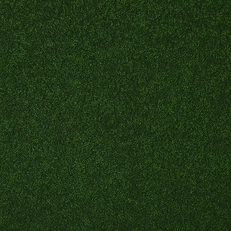 Boxwood Backdrop Rental Buffalo NY