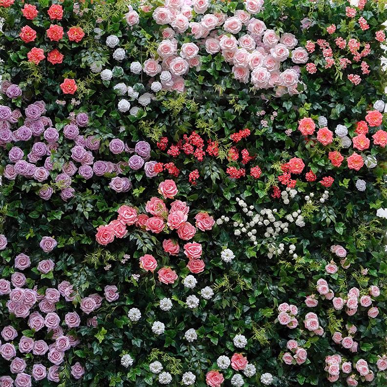 Wild Rose Flower Wall
